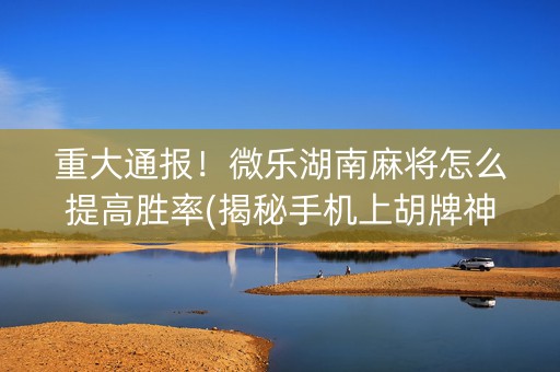 重大通报！微乐湖南麻将怎么提高胜率(揭秘手机上胡牌神器)