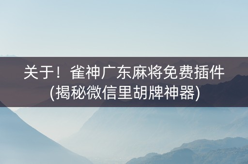 关于！雀神广东麻将免费插件(揭秘微信里胡牌神器)