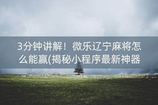 3分钟讲解！微乐辽宁麻将怎么能赢(揭秘小程序最新神器下载)