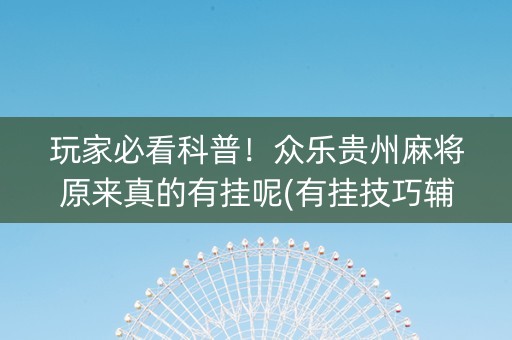 玩家必看科普！众乐贵州麻将原来真的有挂呢(有挂技巧辅助器)
