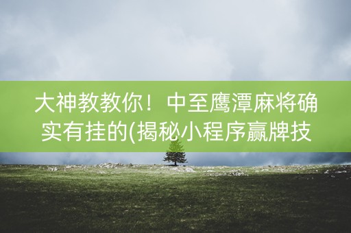 大神教教你！中至鹰潭麻将确实有挂的(揭秘小程序赢牌技巧)