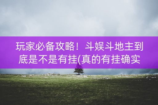 玩家必备攻略！斗娱斗地主到底是不是有挂(真的有挂确实有挂)