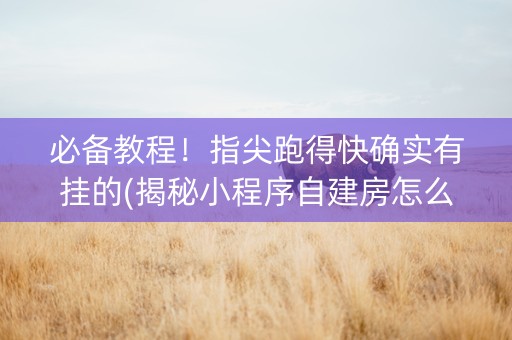 必备教程！指尖跑得快确实有挂的(揭秘小程序自建房怎么赢)