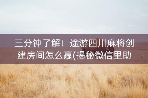 三分钟了解！途游四川麻将创建房间怎么赢(揭秘微信里助赢神器购买)