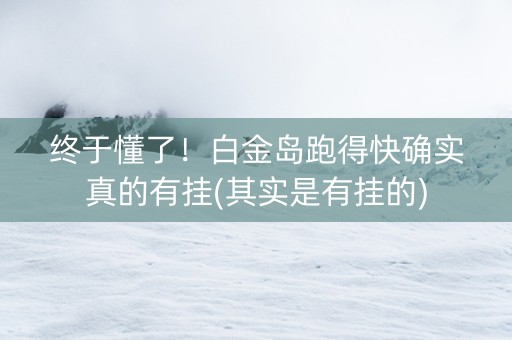 终于懂了！白金岛跑得快确实真的有挂(其实是有挂的)