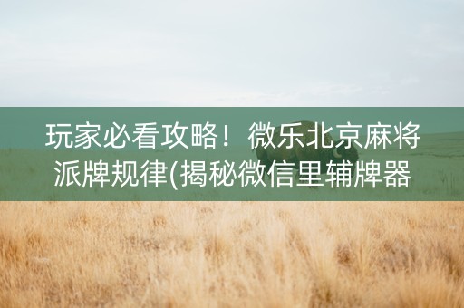 玩家必看攻略！微乐北京麻将派牌规律(揭秘微信里辅牌器)