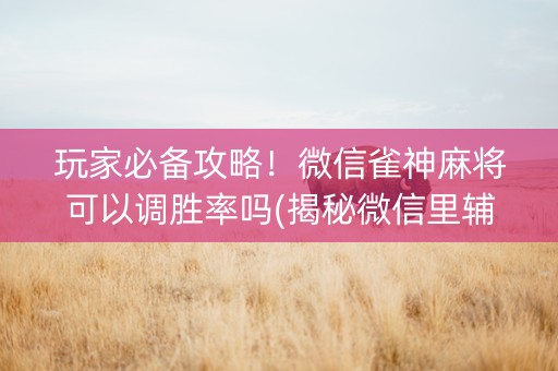 玩家必备攻略！微信雀神麻将可以调胜率吗(揭秘微信里辅牌器)