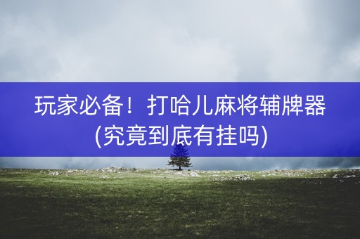 玩家必备！打哈儿麻将辅牌器(究竟到底有挂吗)