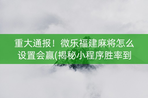 重大通报！微乐福建麻将怎么设置会赢(揭秘小程序胜率到哪调)