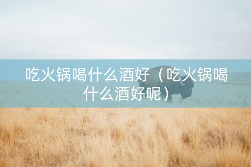 吃火锅喝什么酒好（吃火锅喝什么酒好呢）