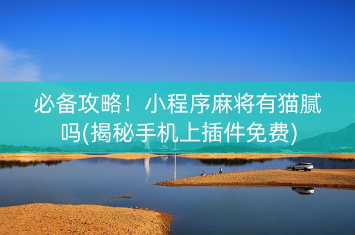 必备攻略！小程序麻将有猫腻吗(揭秘手机上插件免费)