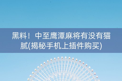 黑料！中至鹰潭麻将有没有猫腻(揭秘手机上插件购买)