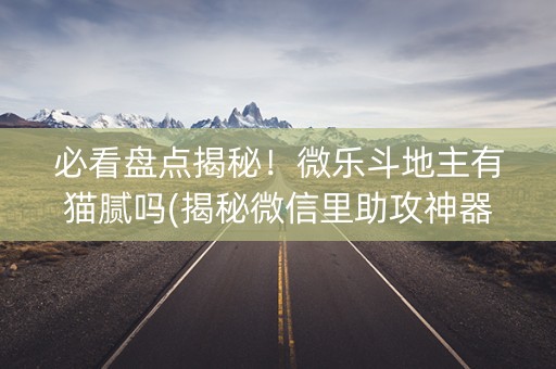 必看盘点揭秘！微乐斗地主有猫腻吗(揭秘微信里助攻神器)