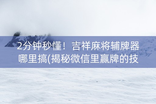 2分钟秒懂！吉祥麻将辅牌器哪里搞(揭秘微信里赢牌的技巧)