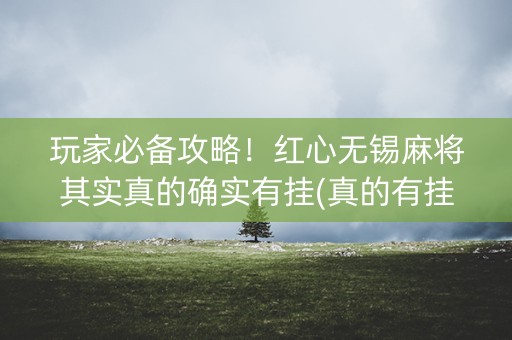 玩家必备攻略！红心无锡麻将其实真的确实有挂(真的有挂)