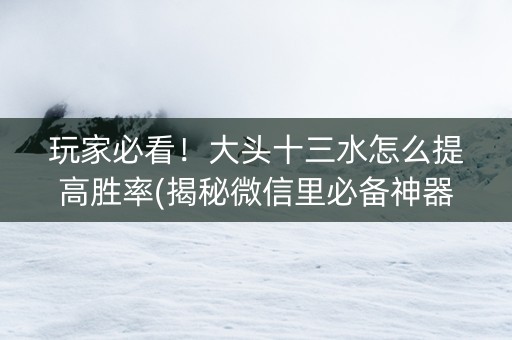 玩家必看！大头十三水怎么提高胜率(揭秘微信里必备神器)