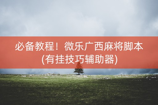 必备教程！微乐广西麻将脚本(有挂技巧辅助器)