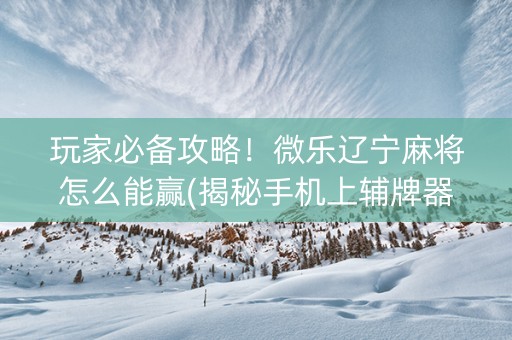 玩家必备攻略！微乐辽宁麻将怎么能赢(揭秘手机上辅牌器)