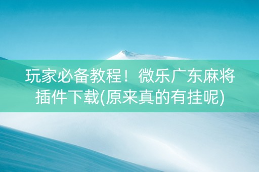 玩家必备教程！微乐广东麻将插件下载(原来真的有挂呢)