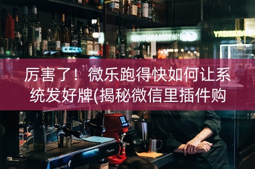 厉害了！微乐跑得快如何让系统发好牌(揭秘微信里插件购买)