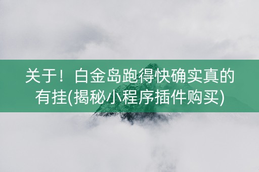 关于！白金岛跑得快确实真的有挂(揭秘小程序插件购买)