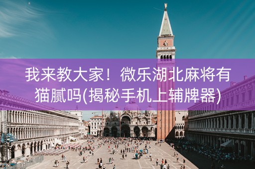 我来教大家！微乐湖北麻将有猫腻吗(揭秘手机上辅牌器)