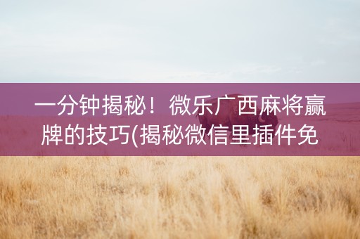 一分钟揭秘！微乐广西麻将赢牌的技巧(揭秘微信里插件免费)