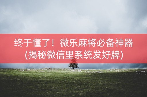 终于懂了！微乐麻将必备神器(揭秘微信里系统发好牌)