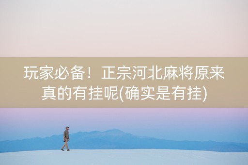 玩家必备！正宗河北麻将原来真的有挂呢(确实是有挂)