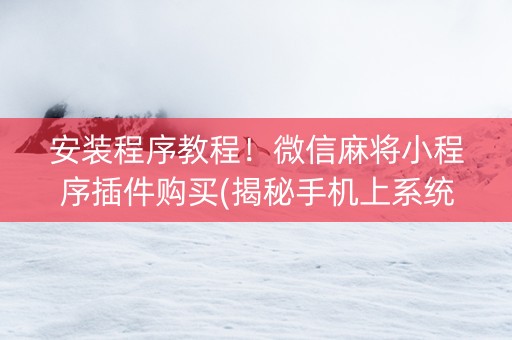 安装程序教程！微信麻将小程序插件购买(揭秘手机上系统发好牌)