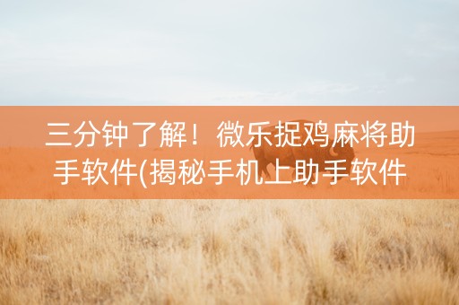 三分钟了解！微乐捉鸡麻将助手软件(揭秘手机上助手软件)
