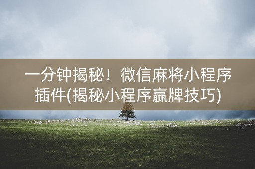 一分钟揭秘！微信麻将小程序插件(揭秘小程序赢牌技巧)