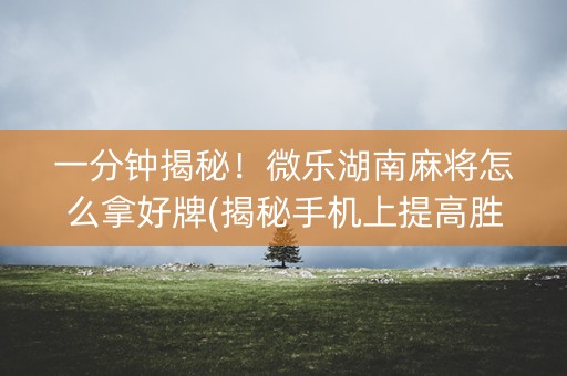 一分钟揭秘！微乐湖南麻将怎么拿好牌(揭秘手机上提高胜率)