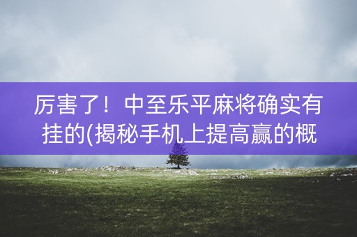厉害了！中至乐平麻将确实有挂的(揭秘手机上提高赢的概率)