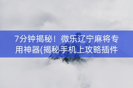 7分钟揭秘！微乐辽宁麻将专用神器(揭秘手机上攻略插件)