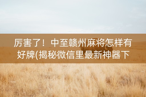厉害了！中至赣州麻将怎样有好牌(揭秘微信里最新神器下载)