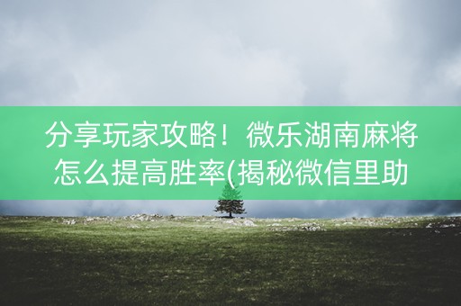 分享玩家攻略！微乐湖南麻将怎么提高胜率(揭秘微信里助赢神器购买)
