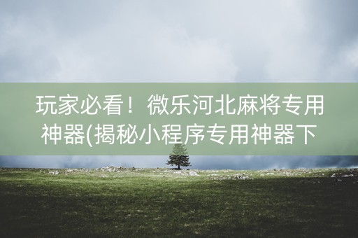 玩家必看！微乐河北麻将专用神器(揭秘小程序专用神器下载)