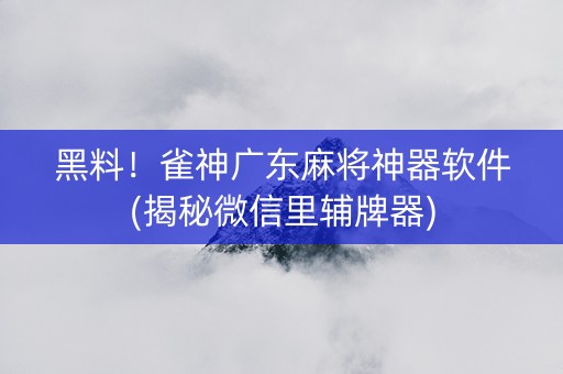黑料！雀神广东麻将神器软件(揭秘微信里辅牌器)