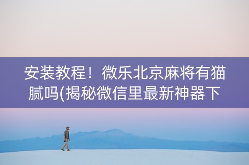 安装教程！微乐北京麻将有猫腻吗(揭秘微信里最新神器下载)