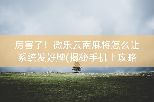 厉害了！微乐云南麻将怎么让系统发好牌(揭秘手机上攻略插件)