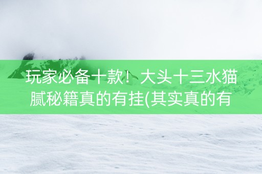 玩家必备十款！大头十三水猫腻秘籍真的有挂(其实真的有挂)