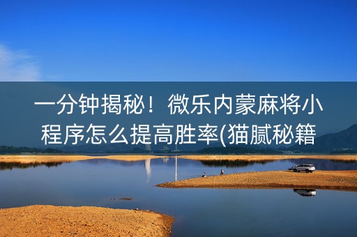 一分钟揭秘！微乐内蒙麻将小程序怎么提高胜率(猫腻秘籍真的有挂)