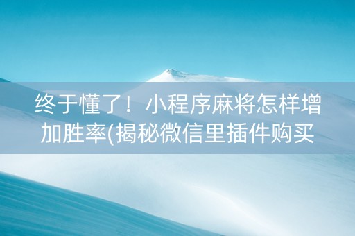 终于懂了！小程序麻将怎样增加胜率(揭秘微信里插件购买)