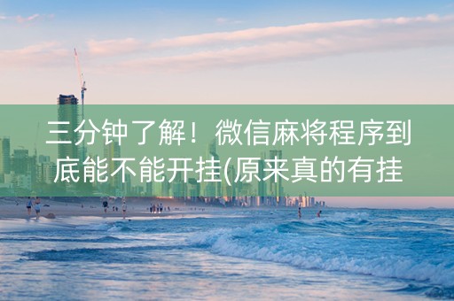 三分钟了解！微信麻将程序到底能不能开挂(原来真的有挂)