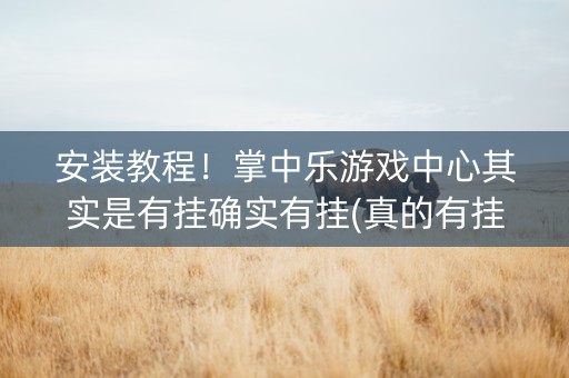 安装教程！掌中乐游戏中心其实是有挂确实有挂(真的有挂确实有挂)