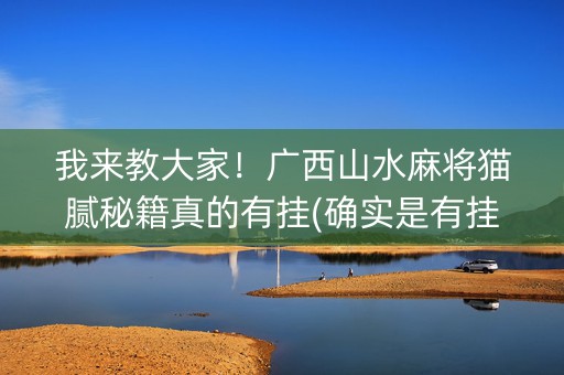 我来教大家！广西山水麻将猫腻秘籍真的有挂(确实是有挂)