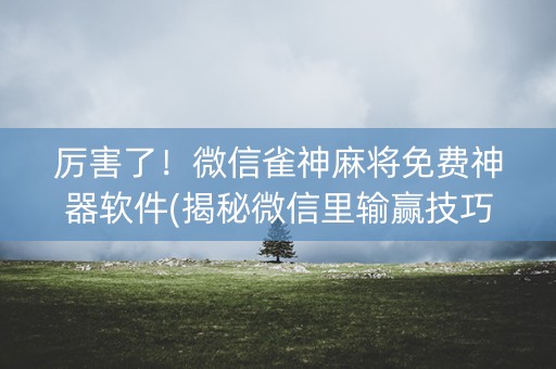 厉害了！微信雀神麻将免费神器软件(揭秘微信里输赢技巧)