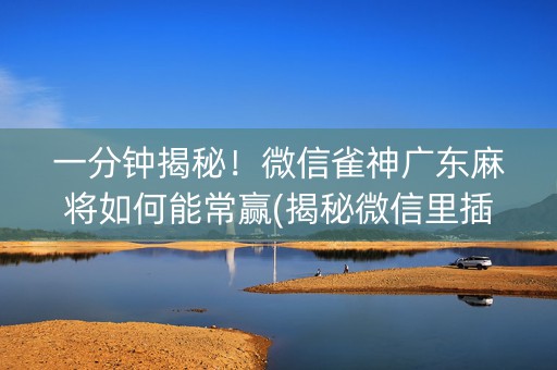 一分钟揭秘！微信雀神广东麻将如何能常赢(揭秘微信里插件购买)