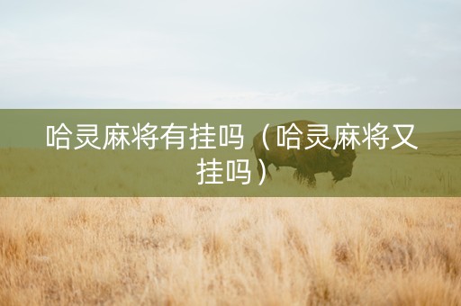哈灵麻将有挂吗（哈灵麻将又挂吗）